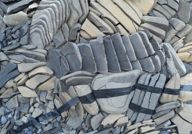 la-memoria-particolare-laura-carraro