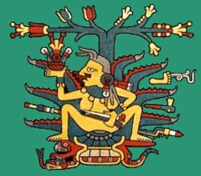 mayahuel_lafillossera