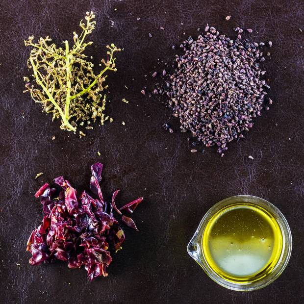 Vinacce_lafillossera