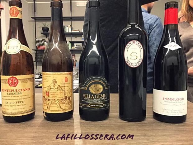 vini-lafillossera-montepulciano