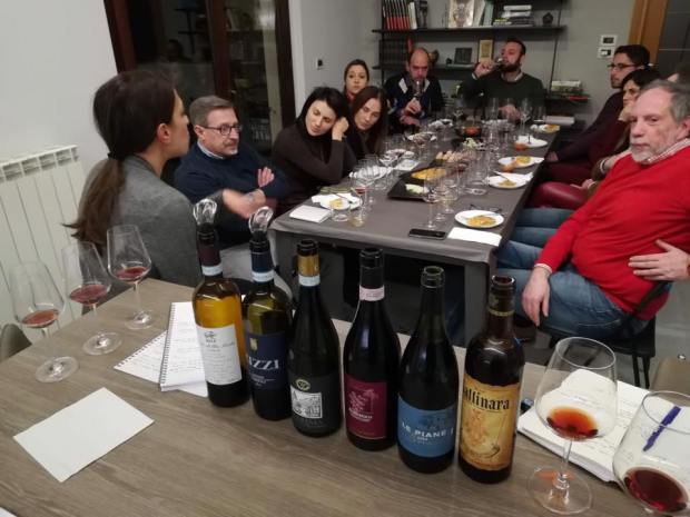 nebbiolo-lafillossera