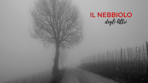 Nebbiolo-lafillossera