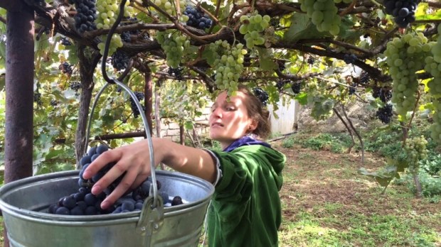 OUR-BLOOD-IS-WINE_800x450-S2