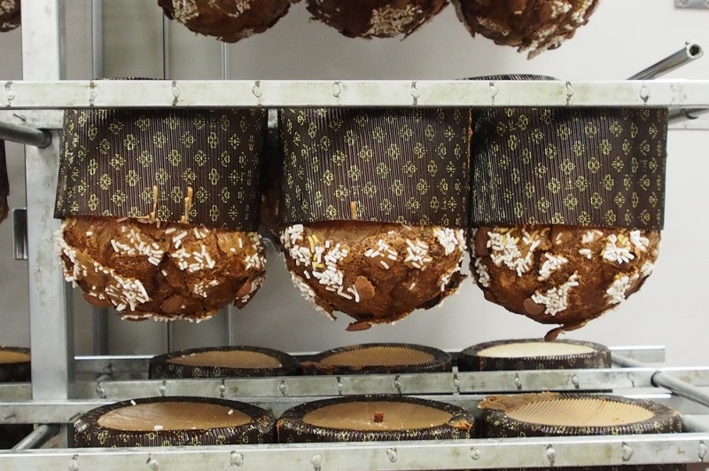 Panettoni rovesciati di Igino Massari 