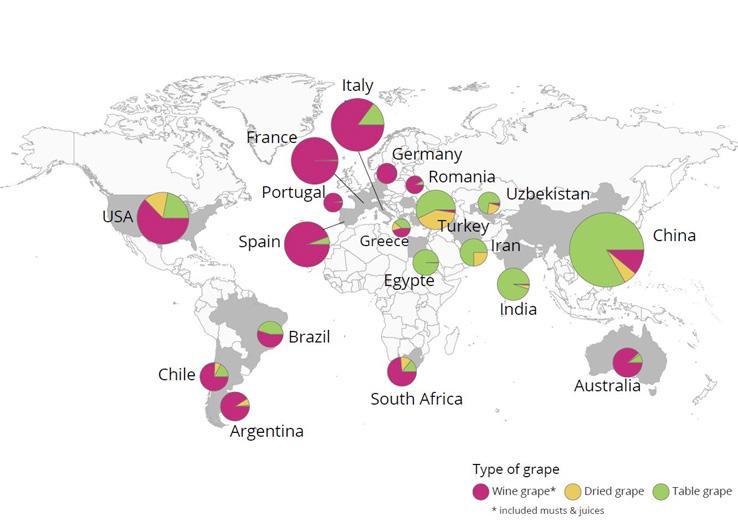 Maggiori produttori di mosto e uva (da tavola, da vino e secca) nel mondo Fonte OIV